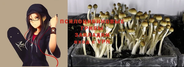 хмурый Зеленодольск