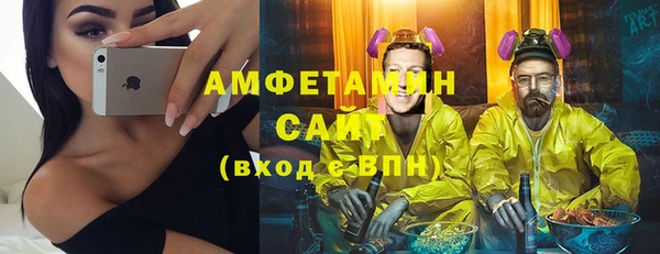 амф Каменногорск