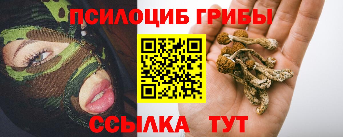 Псилоцибиновые грибы мицелий Ижевск